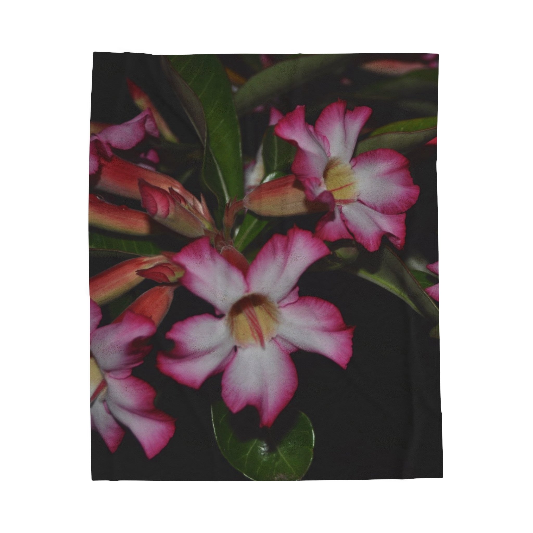 Floral Velveteen Plush Blanket - Cozy Décor for Home & Gifts